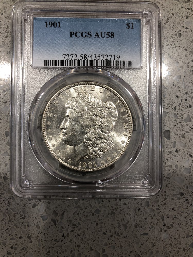 PCGS-Morgan-Dollar-Basic-Set